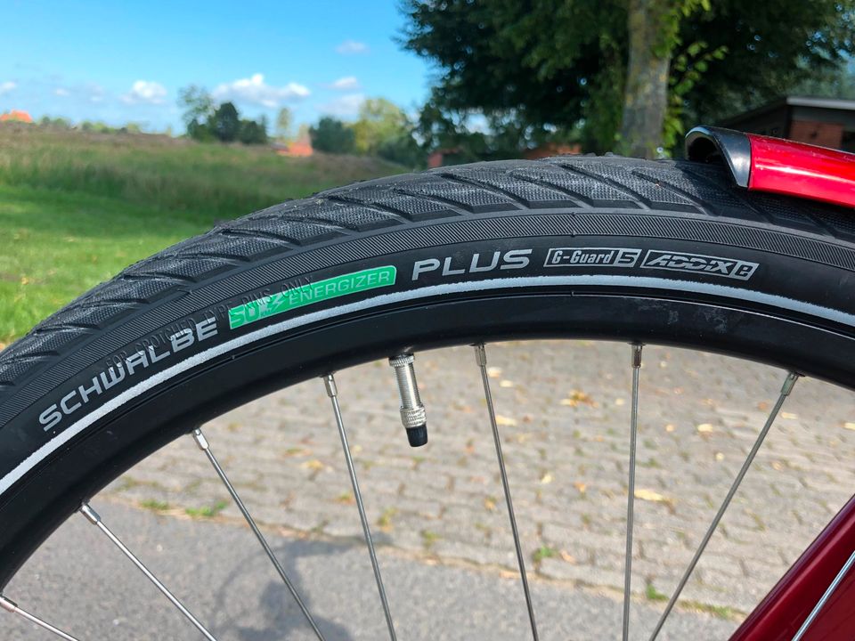 Neues - E-Bike - Grecos Eli - 2.3 Trapez - 28" - RH 50 - Bosch in Neuendorf b. Elmshorn