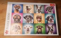Trefl Puzzle 1000 Teile 10462  lustige Hundeporträts Bayern - Merching Vorschau