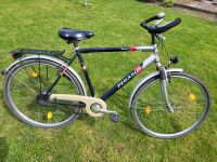 Herren Fahrrad Pegasus 28 Zoll 7 Gänge Niedersachsen - Wolfsburg Vorschau