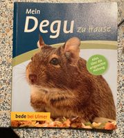 Mein Degu zu Hause Ratgeber Saarland - Nohfelden Vorschau