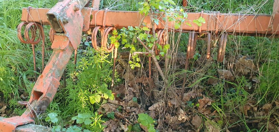 Fricke Schwergrubber 11 Meißelschaare mit Flachstabwalze und Stri in Schöneck