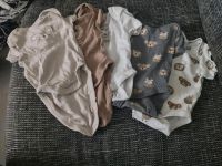 Baby Bodys verschiedene Farben Sachsen-Anhalt - Egeln Vorschau