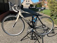 Rennrad Giant SCR CW Carbon Modell 2006 Niedersachsen - Wittingen Vorschau