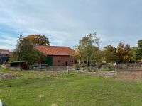 Offenstall mit Weidegang in Bröckel Niedersachsen - Bröckel Vorschau