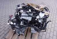 Motor ZTDA Ford Focus MK4 1.5 ECOBLUE TDCI, ca. 70 TKM + GARANTIE Rheinland-Pfalz - Hermeskeil Vorschau