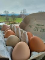 Frische Eier aus Freilandhaltung Baden-Württemberg - Bad Wurzach Vorschau