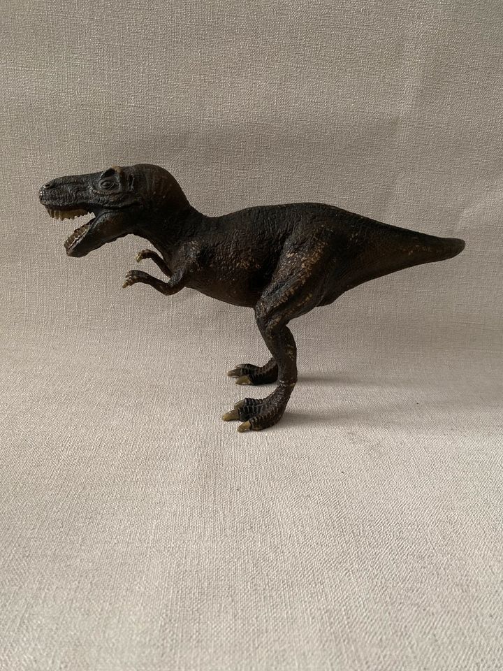 Schleich Dinosaurier T-Rex in Hessisch Oldendorf