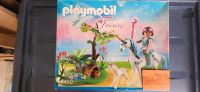 Playmobil fainies Hessen - Großalmerode Vorschau