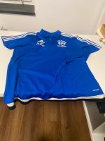 Adidas Poloshirt blau Gr.L Niedersachsen - Braunschweig Vorschau