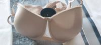 Triumph BH Beauty-Full Essential 85 E Rheinland-Pfalz - Wallmerod Vorschau