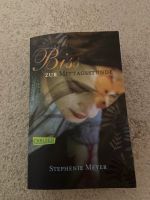 Buch Twilight bis zur Mittagstunde Dresden - Striesen-West Vorschau