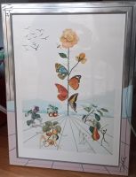 Salvador Dali Bild "Flordali II" mit erweitertem Bilderrahmen Münster (Westfalen) - Mauritz Vorschau