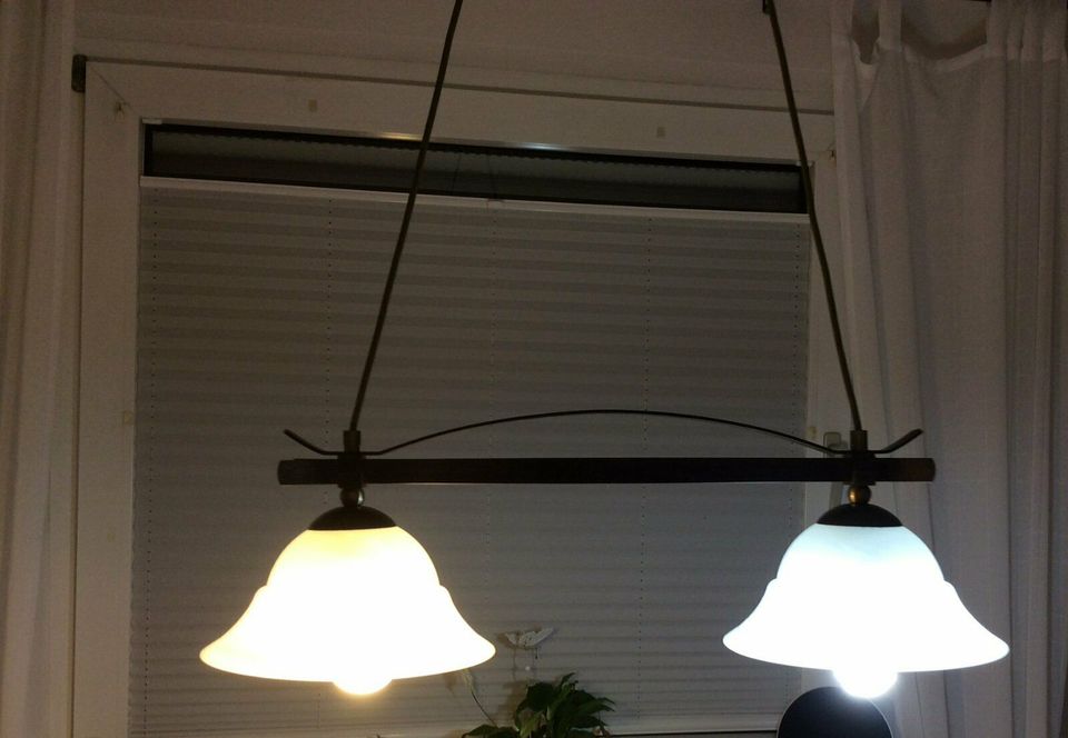 Hänge Lampe für Küche Esszimmer Stube Milchglas Licht Leuchte in Oldenburg