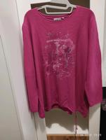 Pulli Gr 44 Nordrhein-Westfalen - Willich Vorschau
