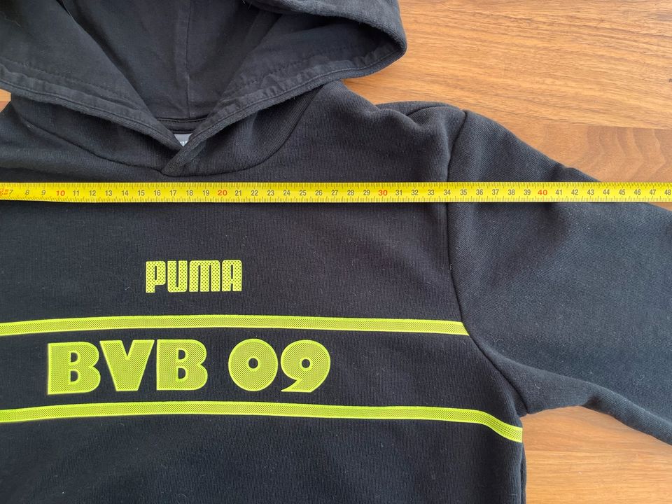 Sweatshirt BVB 09 / Borussia Dortmund von Puma in Ingolstadt