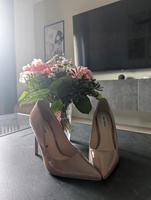 Steve Madden Vaze Hessen - Offenbach Vorschau