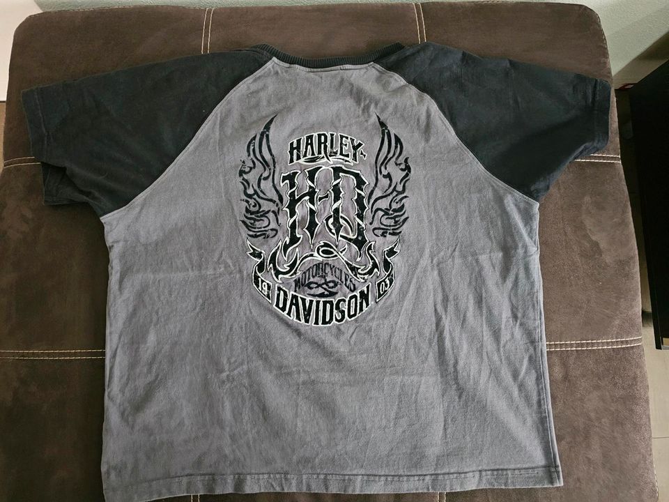 Harley-Davidson T Shirt in Vechta