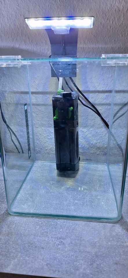 Nano Aquarium 10l in Plauen