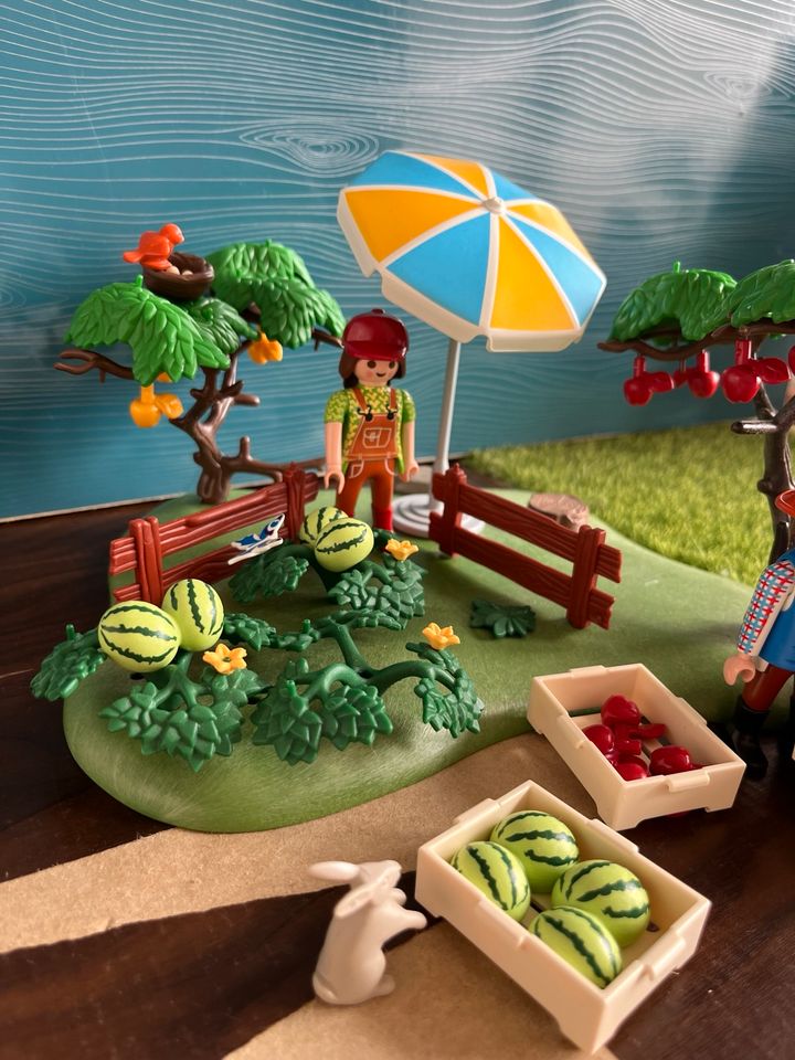 Playmobil Bauern Obsternte mit Traktor 6870 in Willich