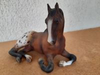 MODELLPFERD BREYER TB MARE LIEGEND APPALOOSA CM MT USA OOAK Hessen - Oberursel (Taunus) Vorschau