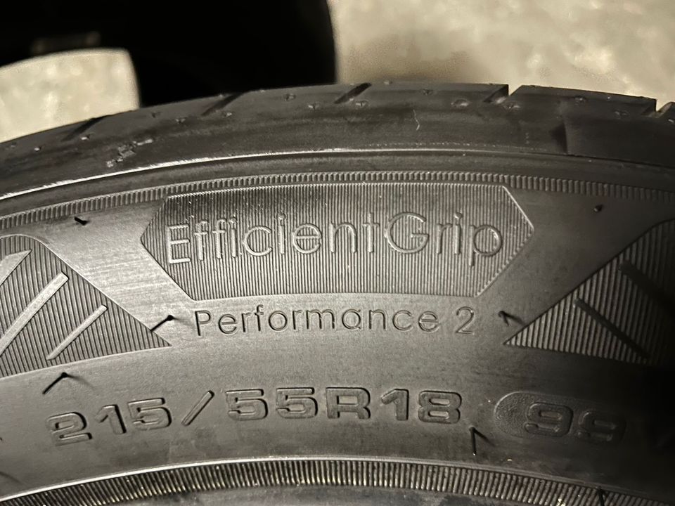 Goodyear EfficientGrip Performance 2 215 55 R18 99V Neue Demo in Berlin