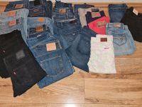 Damen Jeans Guess Levis Diesel Hilfiger Superdry Calvin Klein Niedersachsen - Winsen (Luhe) Vorschau