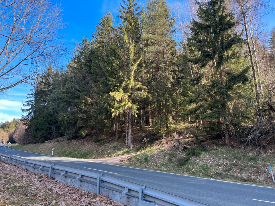 Waldgrundstück bei Lenau zu verkaufen in Kulmain