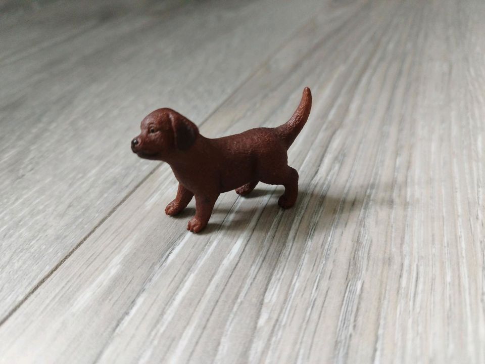 Schleich Labrador Welpe in Marsberg