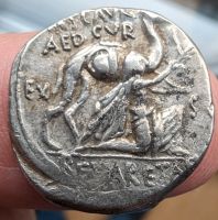 Antike Münze Römische Republik 58 BC Denar Kamel Dromedar Jupiter Niedersachsen - Braunschweig Vorschau