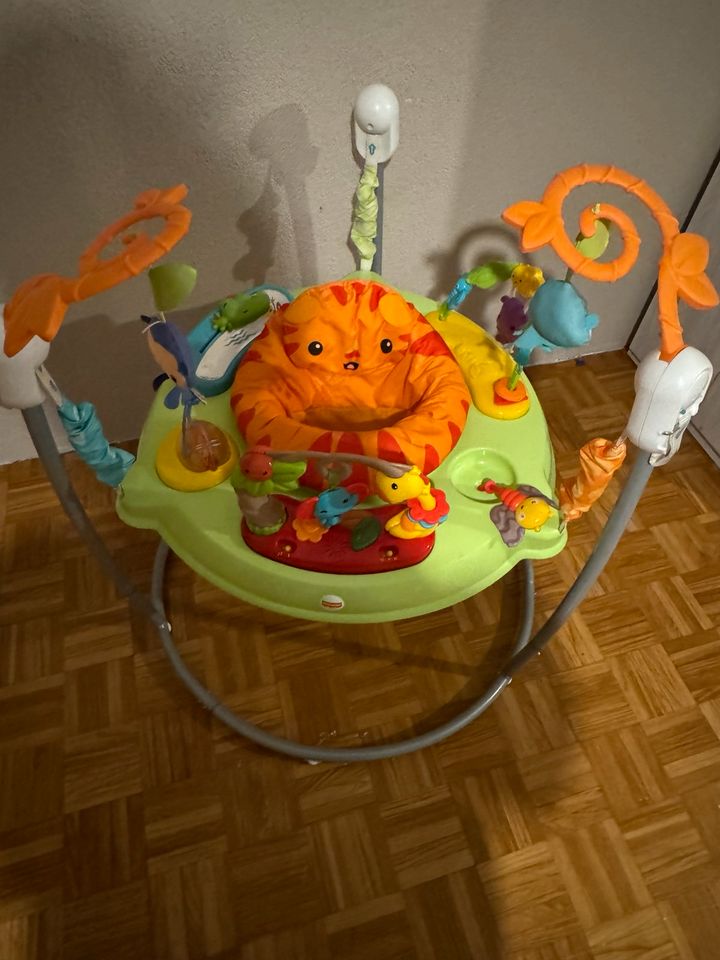 Fisher Price Jumperoo in Lampertheim