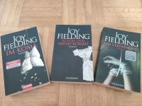 Romane von Joy Fielding Rheinland-Pfalz - Ludwigshafen Vorschau