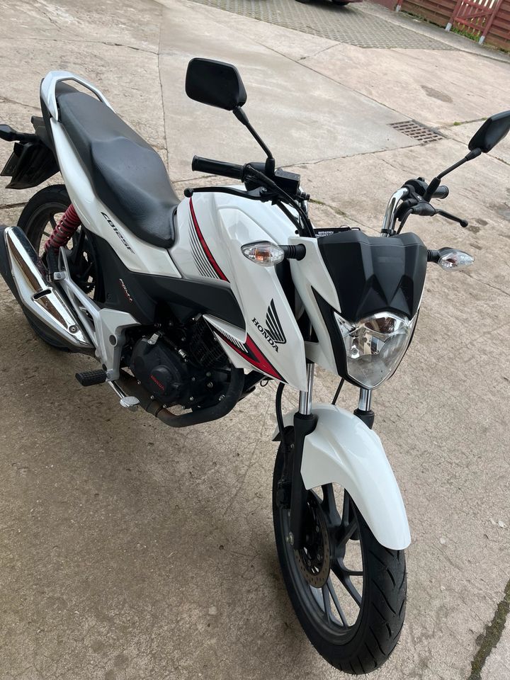 Honda CB 125 F in Schwedt (Oder)