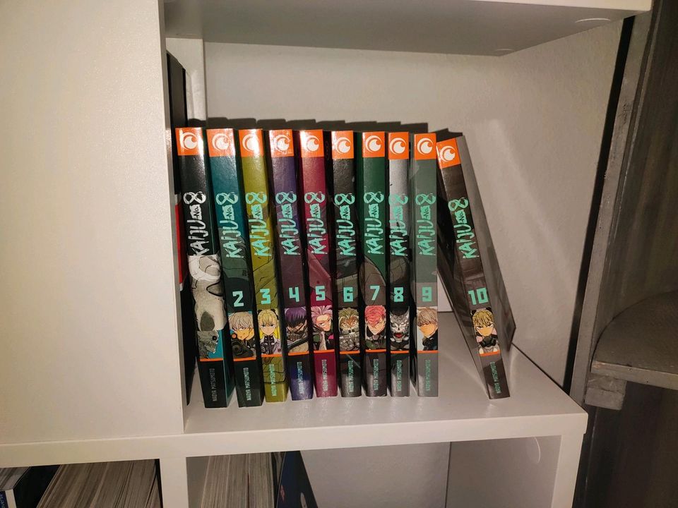 Manga Sammlung in Brandenburg an der Havel