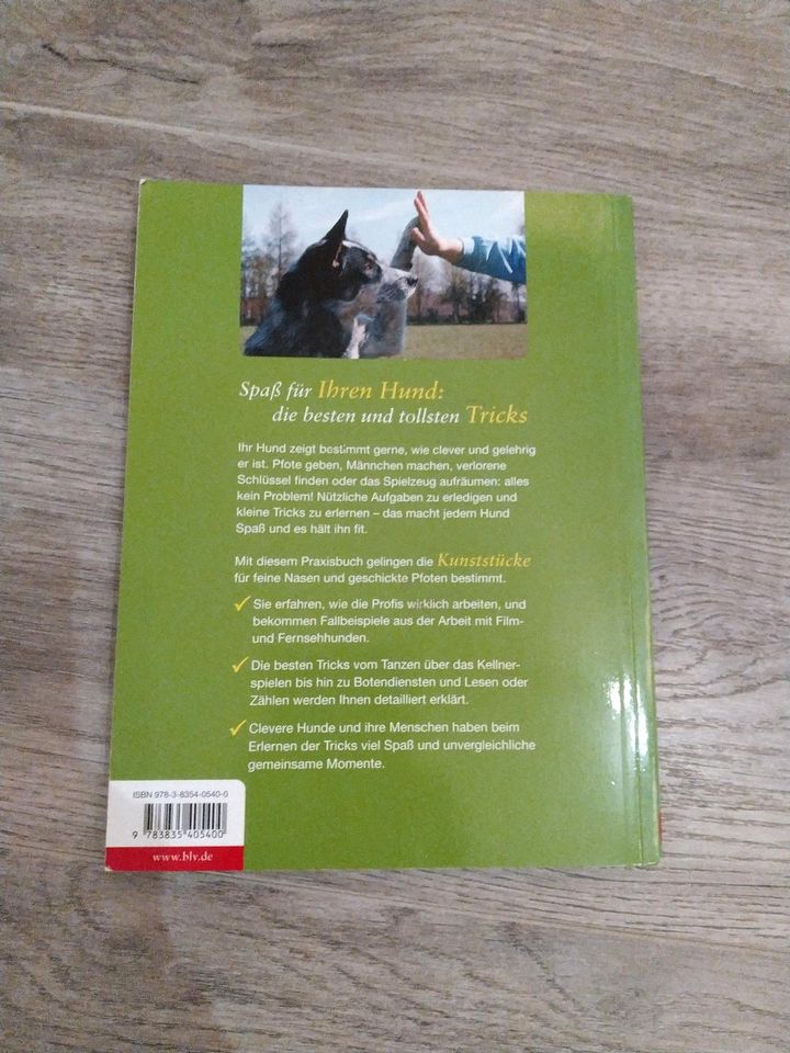 Richtig tolle Hundetricks: die jeder lernen kann Buch neuwertig in Remscheid