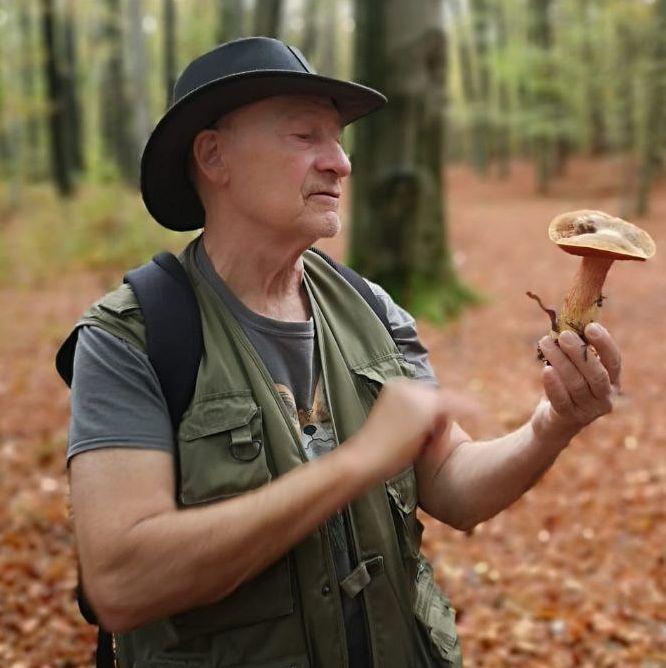 Pilze - Pilz-Lehrwanderung in Ihrem Sammelgebiet in Erkrath