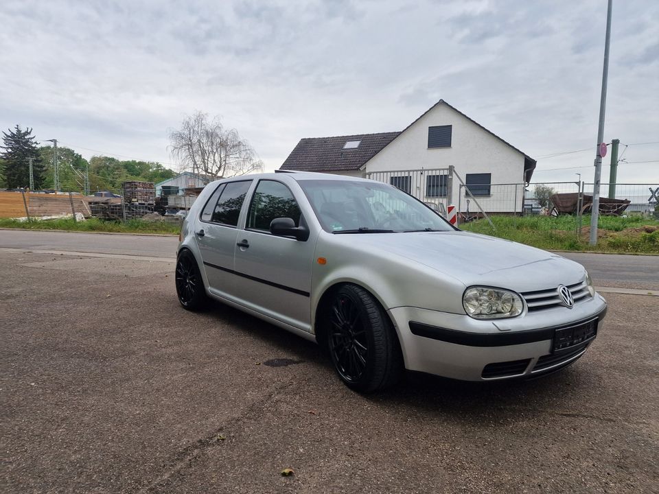 VW Golf IV Schrägheck (1J1) 1.9 TDI in Germersheim