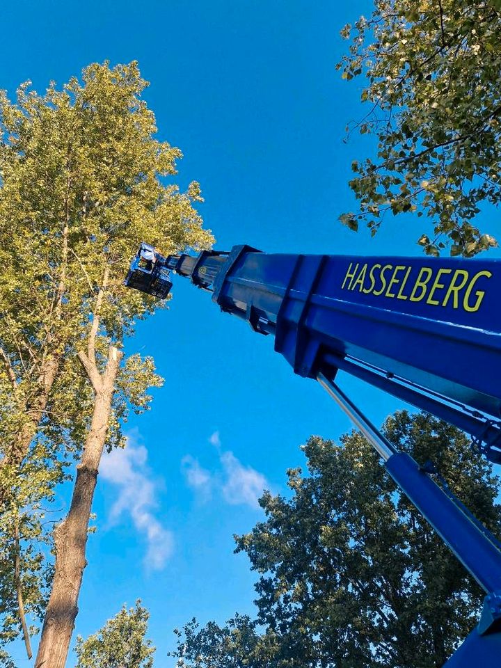 Hubsteiger Arbeiten,  Hebebühne, Arbeitsbühne Vermietung mieten in Beckum