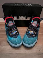 NIKE LEBRON 19 FAST FOOD Basketballschuhe Rheinland-Pfalz - Grafschaft Vorschau