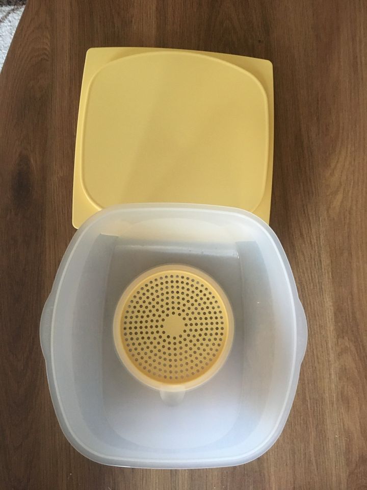 Tupperware Käsemax in Teichland