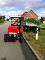 Rarität UT082 Billux Glühbirnen Brandenburg - Friedland (Mark) Vorschau