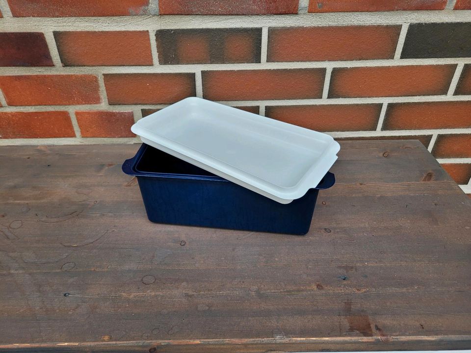 Tupperware Toastbehälter Brotbehälter in Büdelsdorf