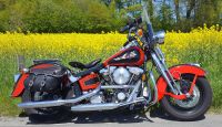 Harley-Davidson FXSTS  Springer Nordrhein-Westfalen - Harsewinkel Vorschau
