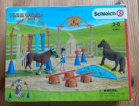 SCHLEICH Pony Pferde Agility Training 42481 - TOP ☆☆☆ Baden-Württemberg - Oberkirch Vorschau