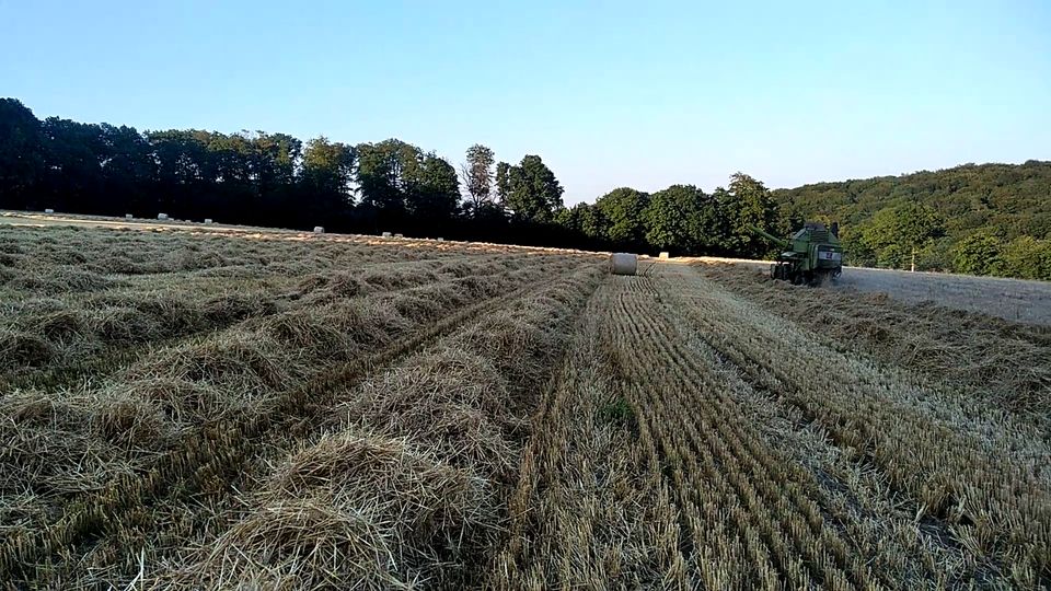 Claas Protector Perkins Mähdrescher. kein Mercator oder Dominator in Breckerfeld