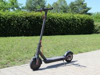 Elektro Scooter 700W Roller Elektroroller Aluminium E-Scooter NEU Brandenburg - Cottbus Vorschau