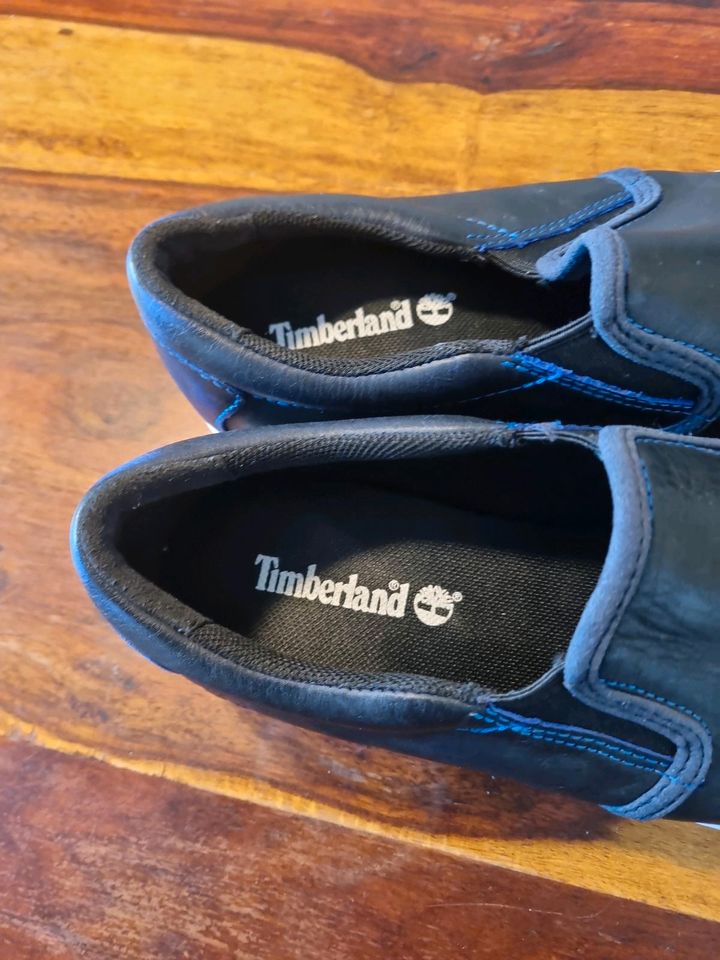 Neuwertige Timberland Damen Sneaker Gr 38 in Kornwestheim