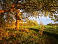 Urlaub Unterkunft Tynihouse Niedersachsen - Warmsen Vorschau