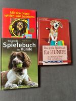Spiele mit Hund Bücher Bayern - Eckersdorf Vorschau