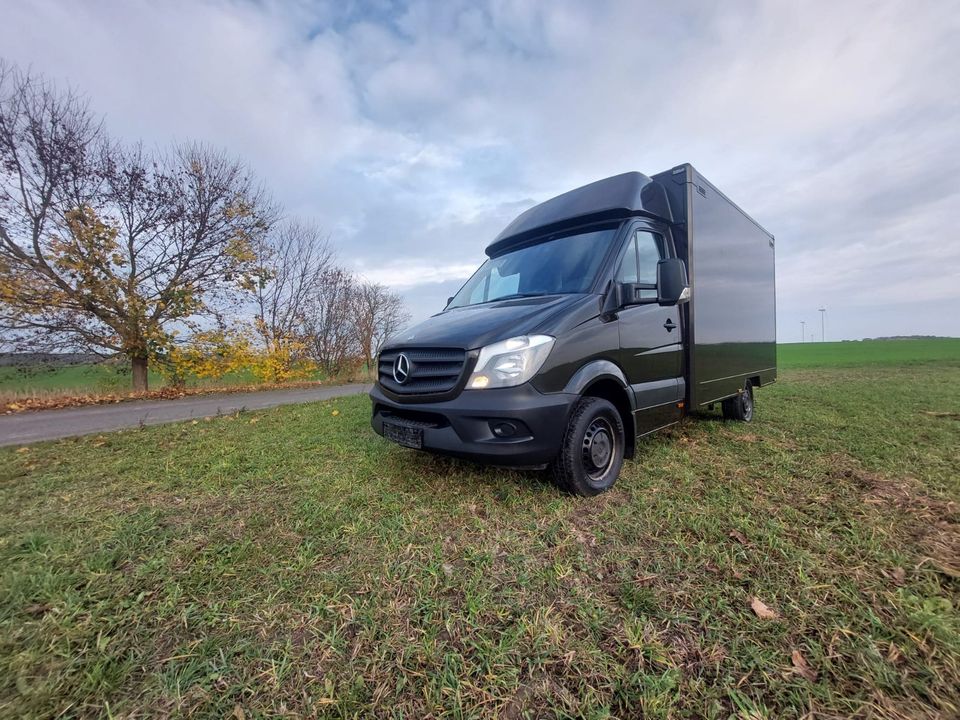 Mercedes Benz Sprinter 313cdi Koffer ideal zum Wohnmobil Umbau ! in Biesenthal