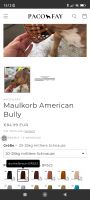 Maulkorb American Bully Ungetragen Bad Doberan - Landkreis - Nienhagen MV Vorschau